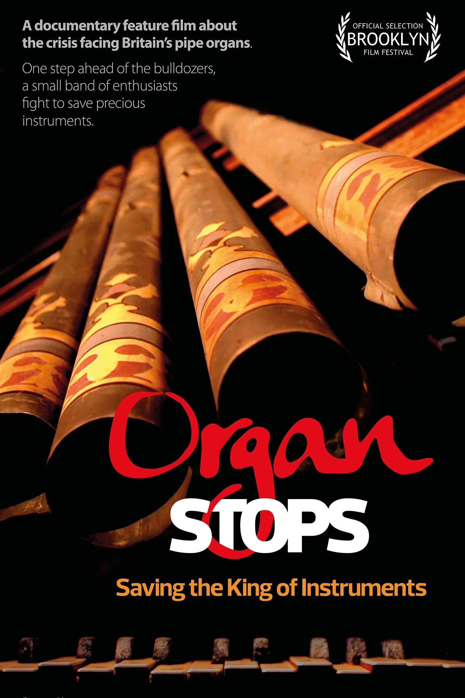 Poster de Organ Stops - Saving The King of Instruments