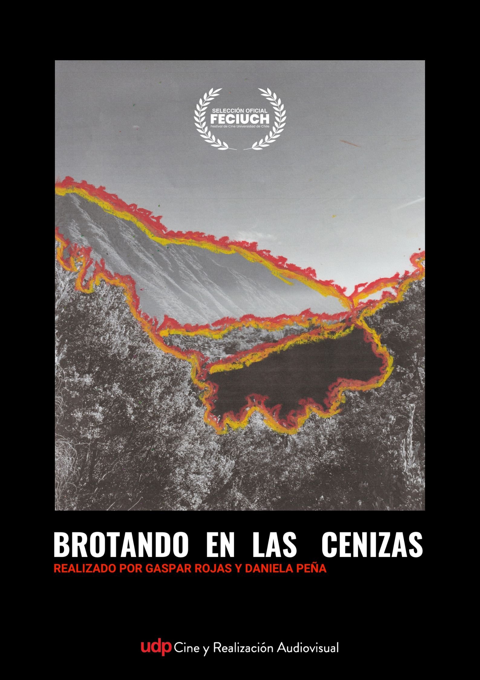 Poster de Brotando en las cenizas