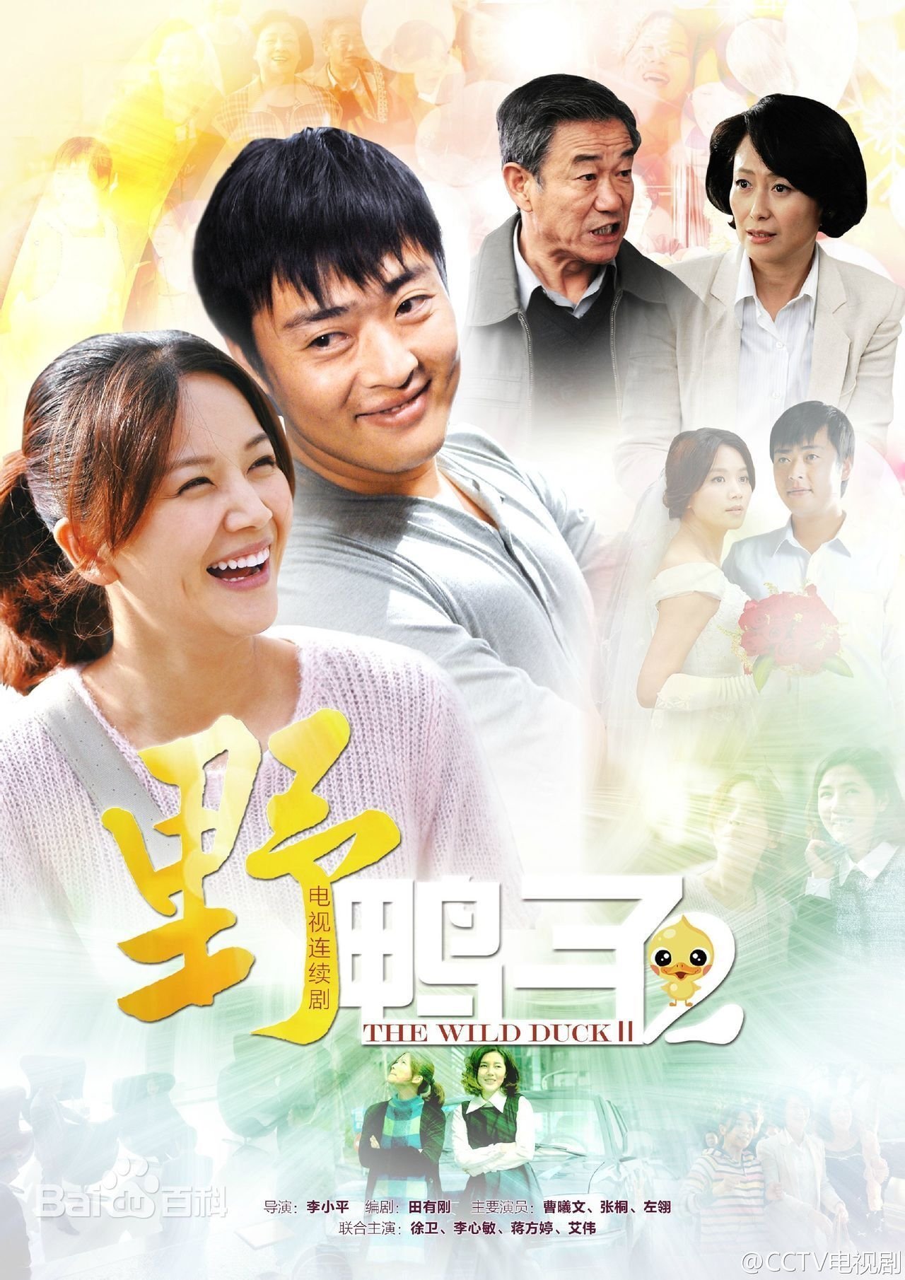 Poster de 野鸭子