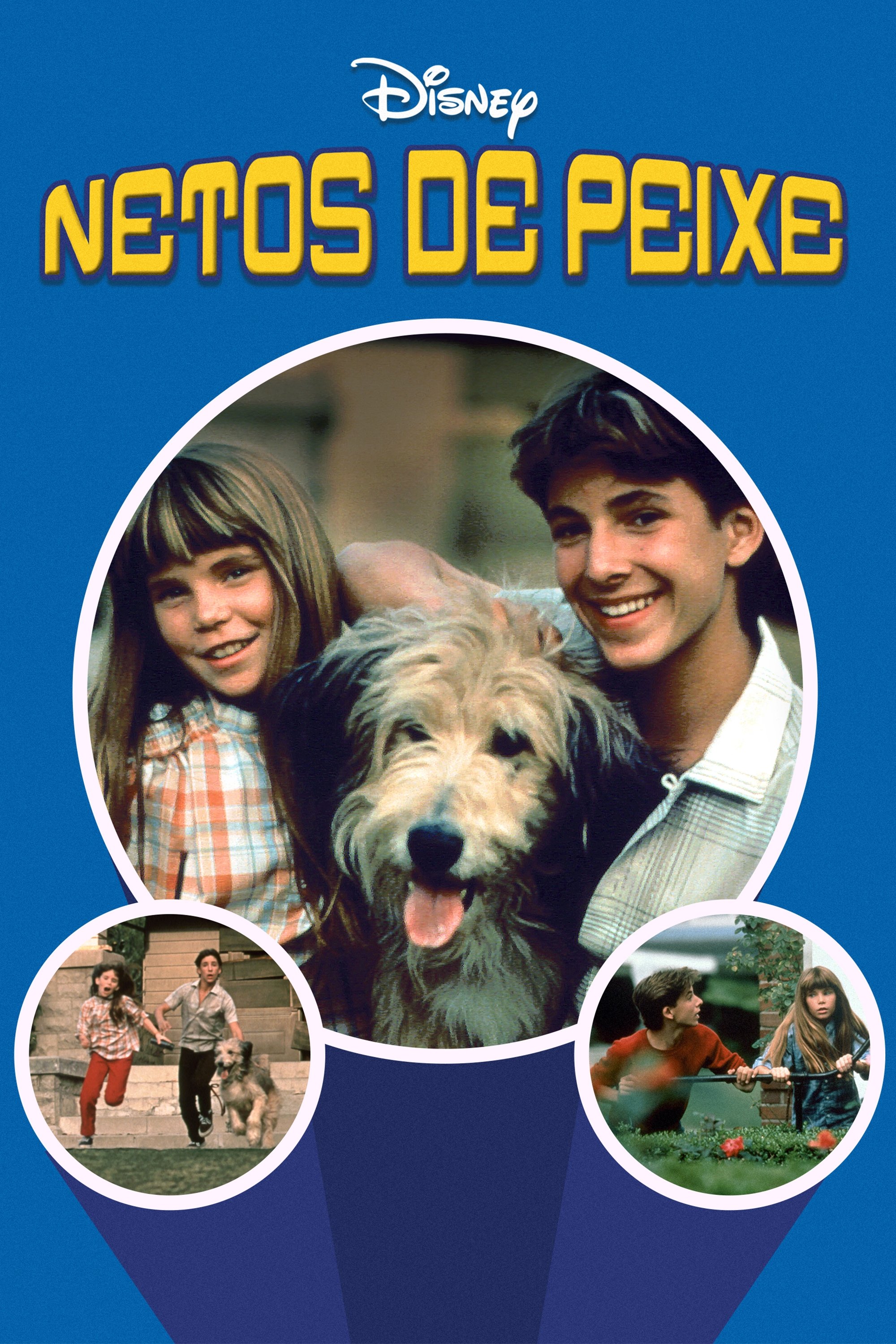 Poster de Netos de Peixe