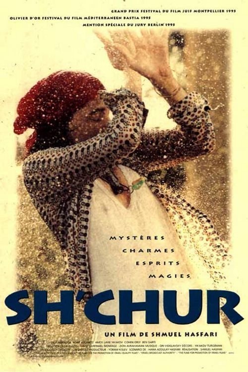 Affiche du film שחור