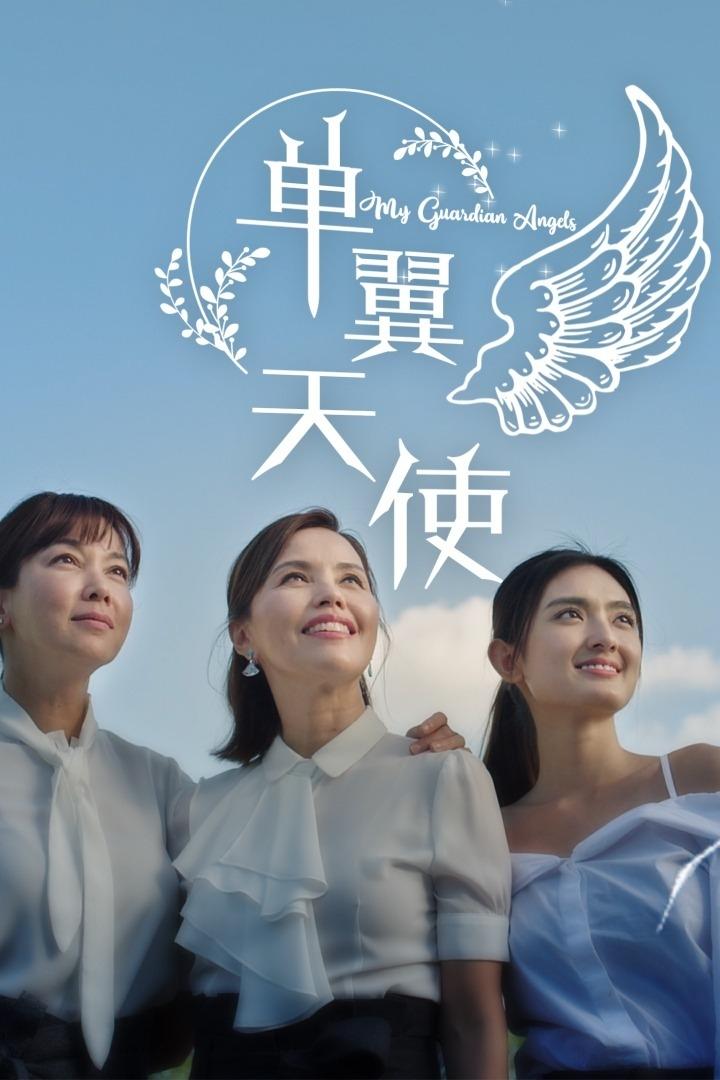 Poster de 单翼天使