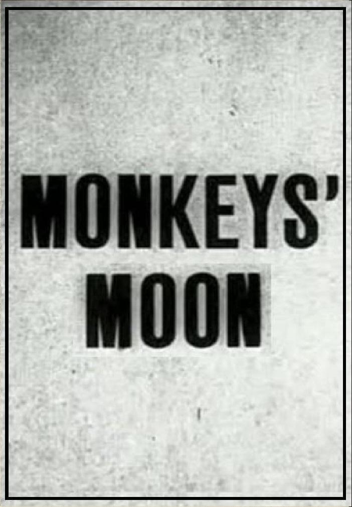 Poster for Monkey's Moon