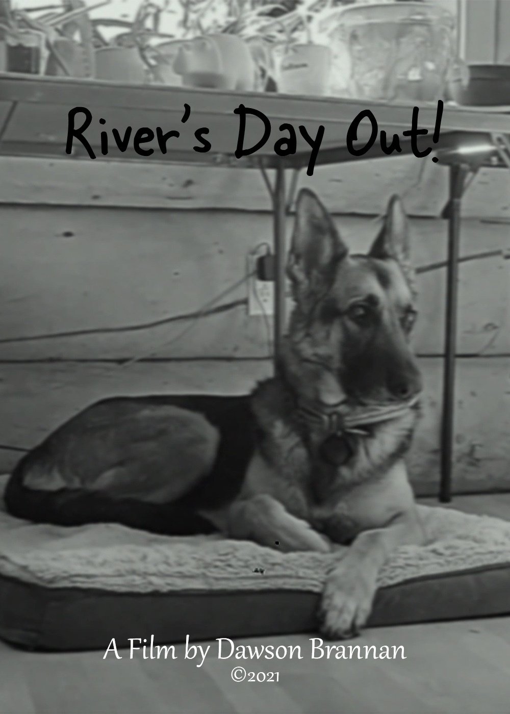 Poster de River's Day Out!