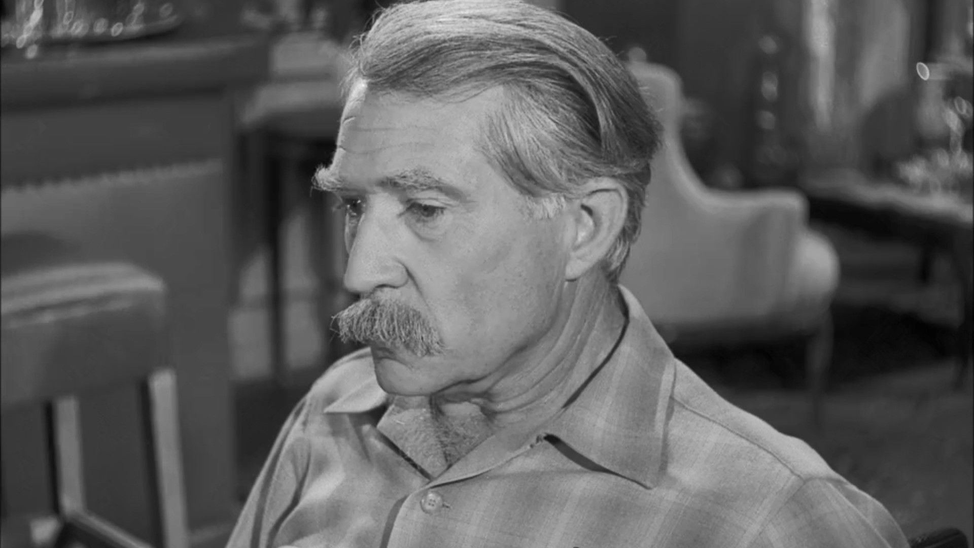 The Case of the Startled Stallion