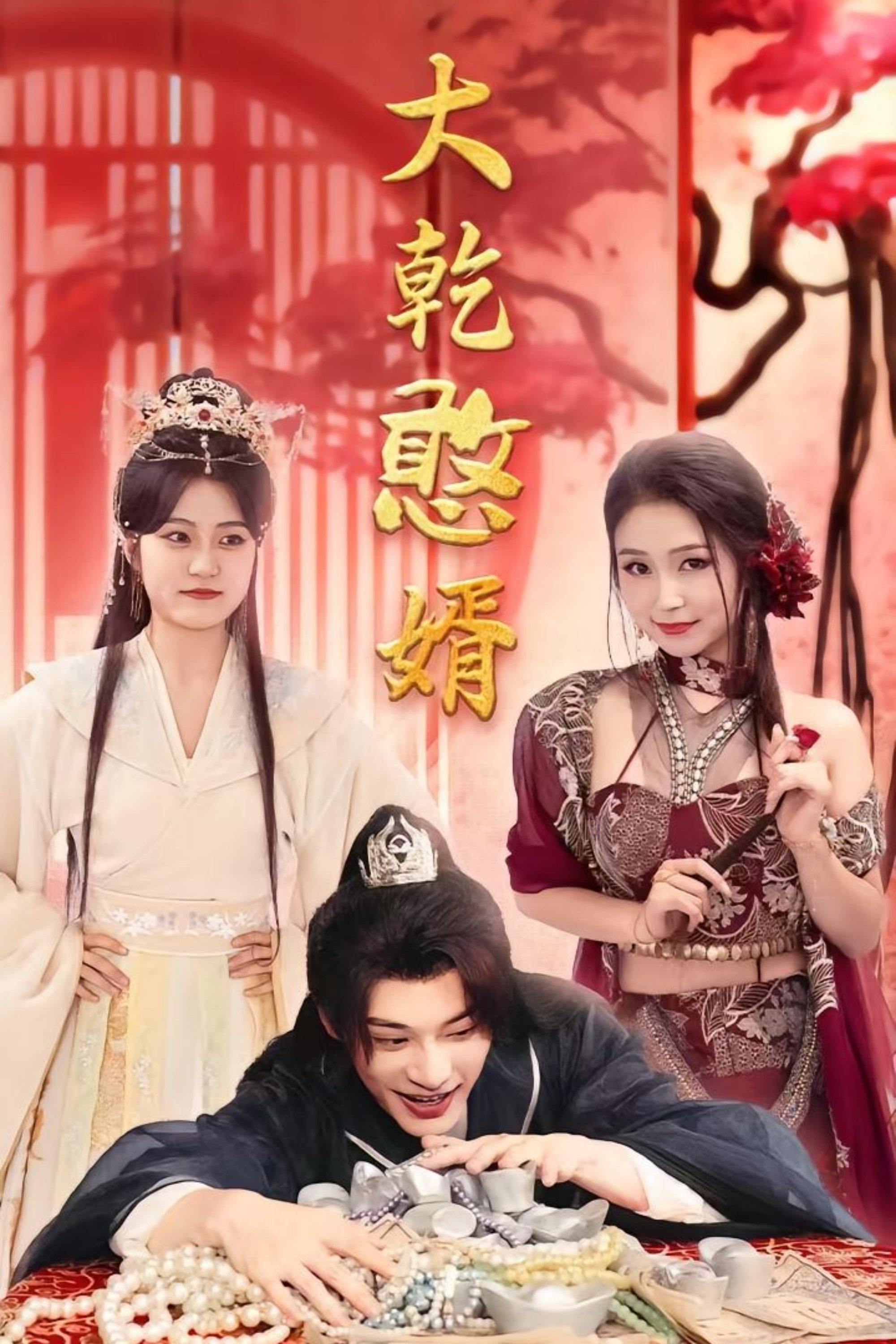 Poster de 大乾憨婿