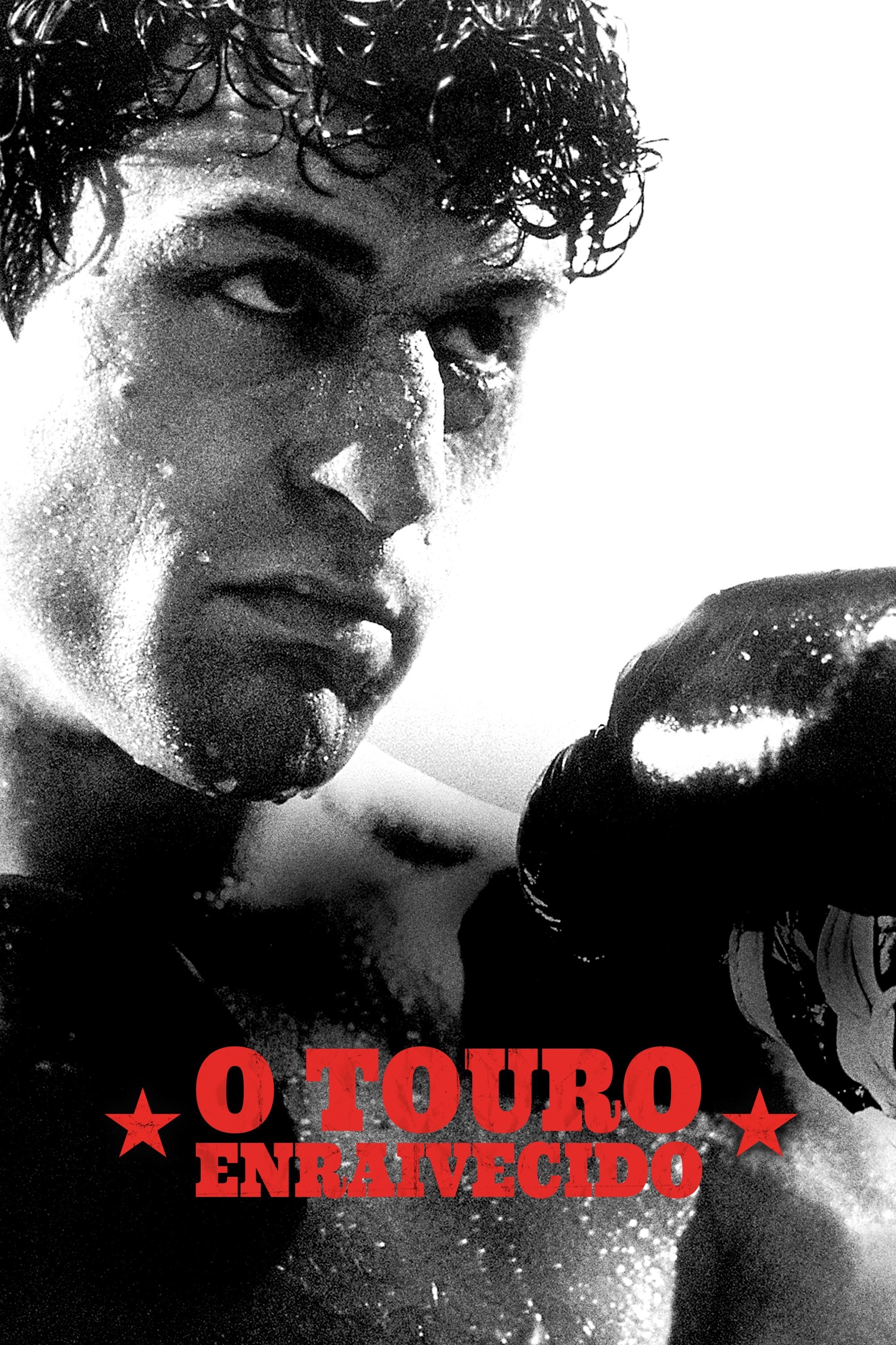 Poster de Touro Indomável