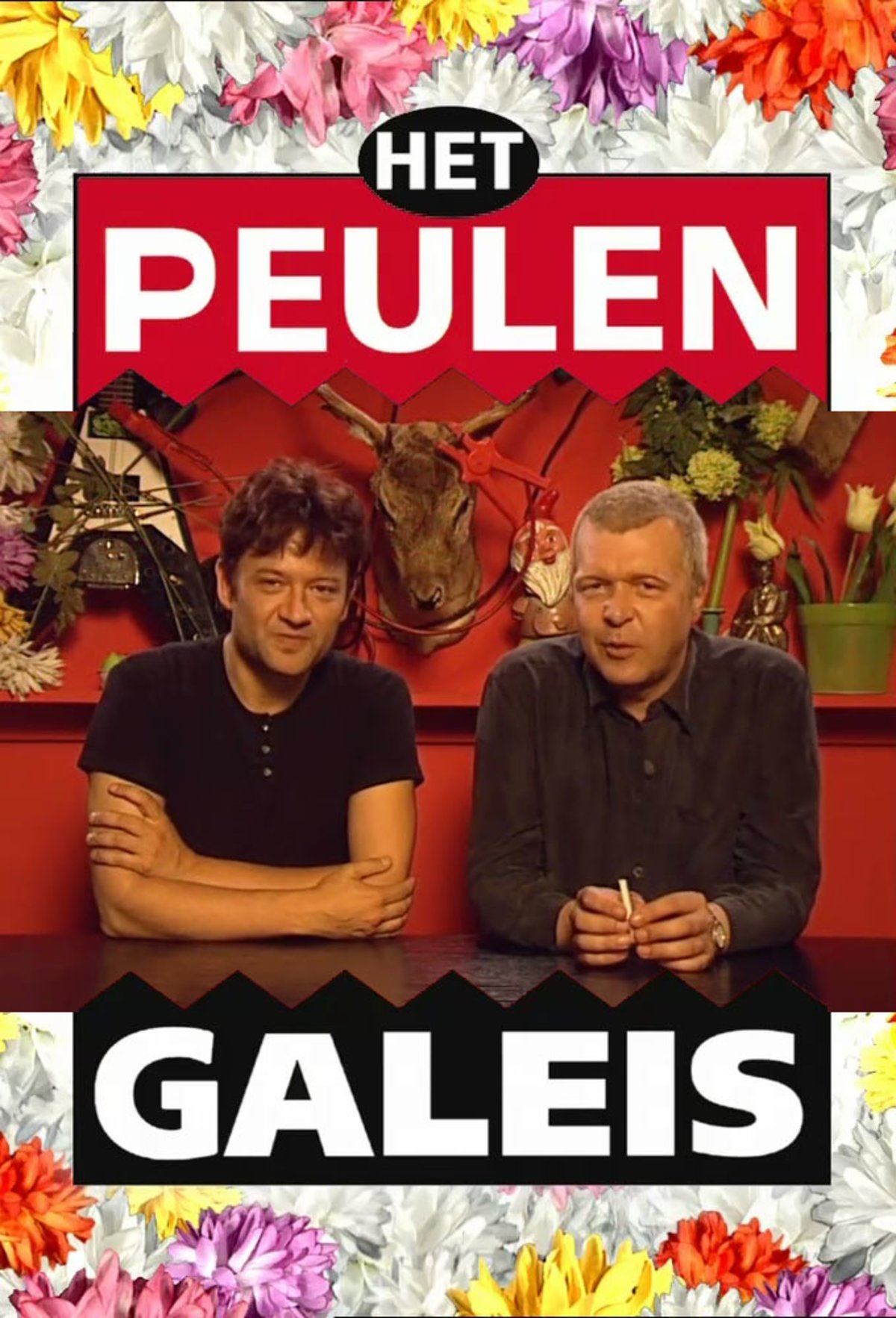 Poster de Het Peulengaleis