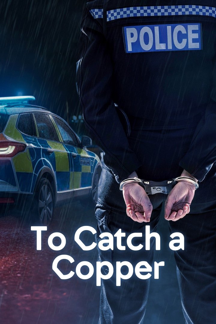 Poster de To Catch a Copper