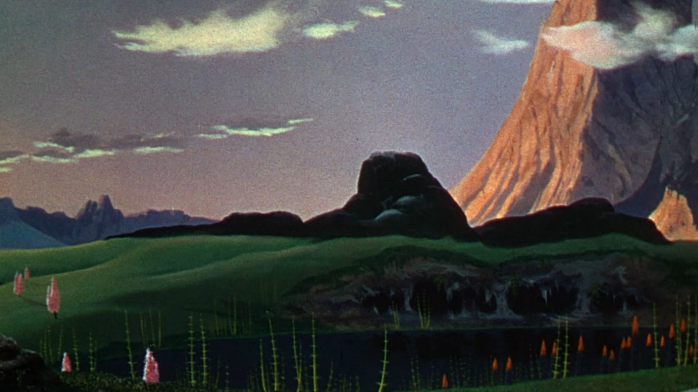 backdrops