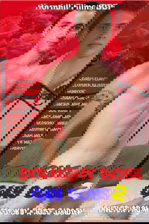 Poster de Straight Boys Gay Boys 2: I Never Promised You a Rose Garden