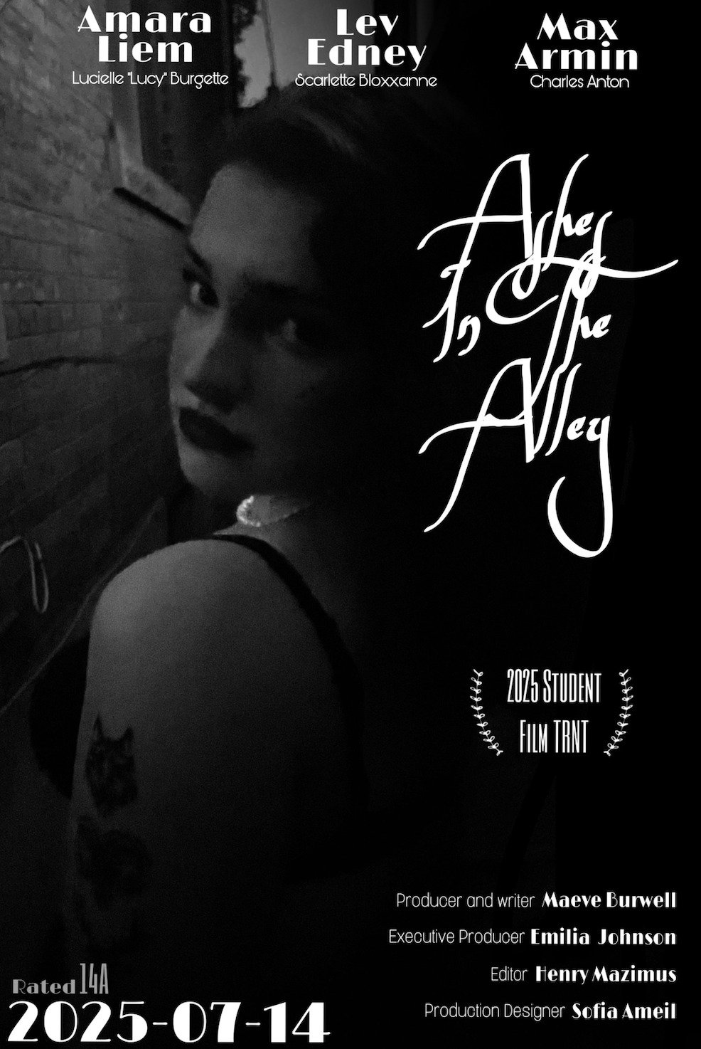 Poster de Ashes In The Alley