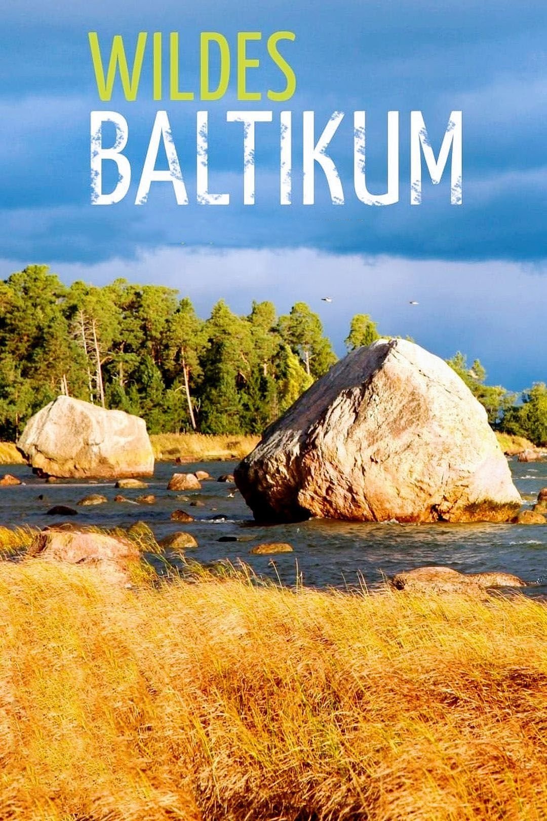 Poster de Wildes Baltikum