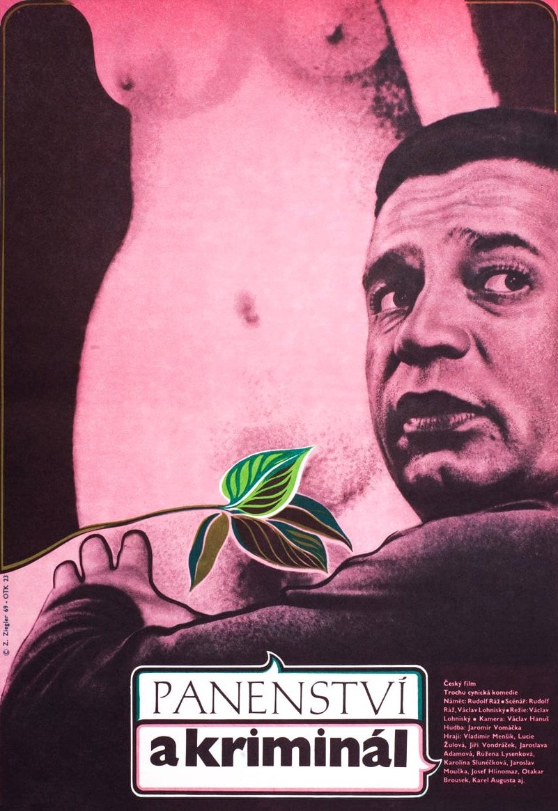 Poster de Panenství a kriminál