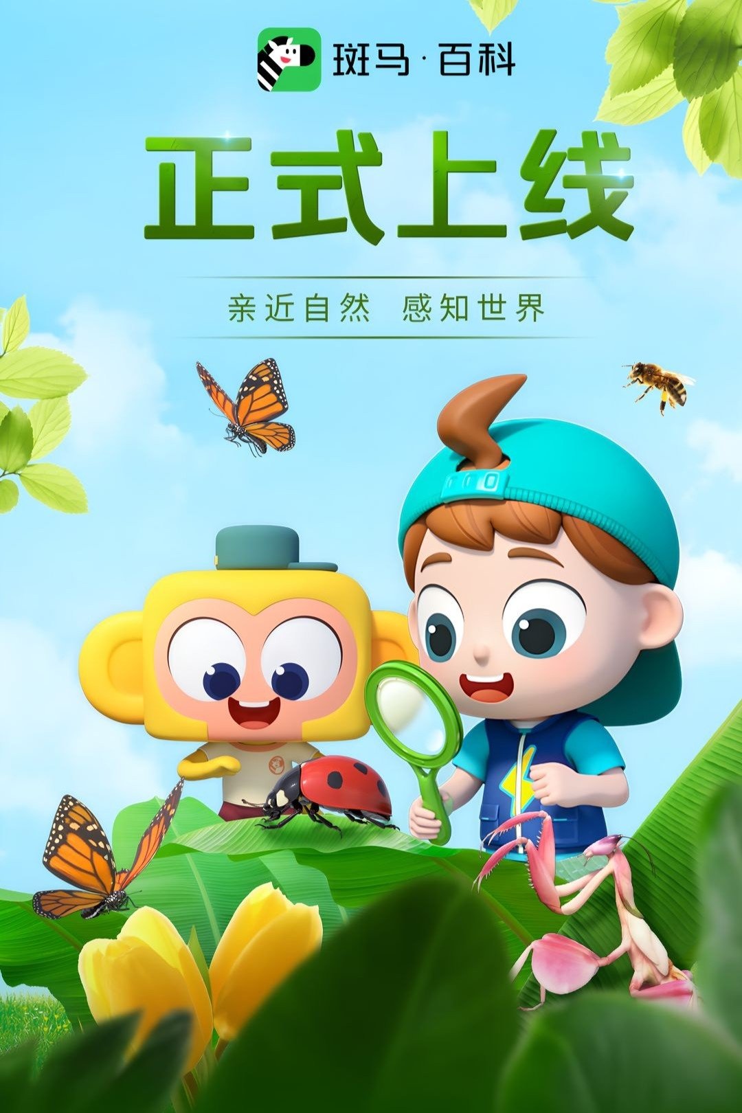 Poster de 斑马百科2025
