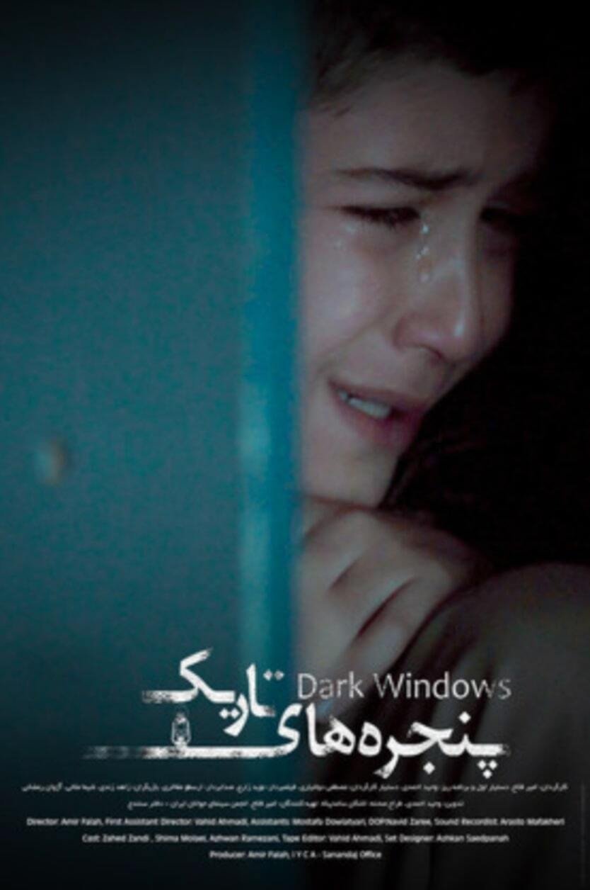 Poster de Dark Windows