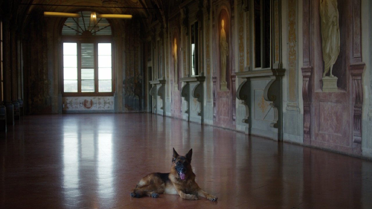 Backdrop image