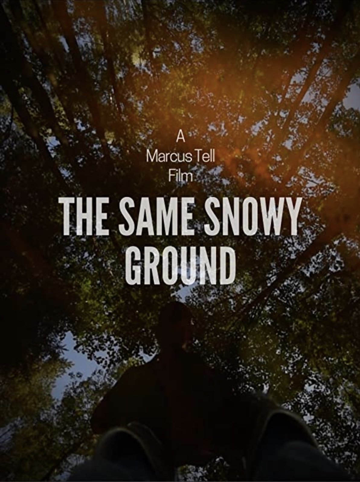 Poster de The Same Snowy Ground