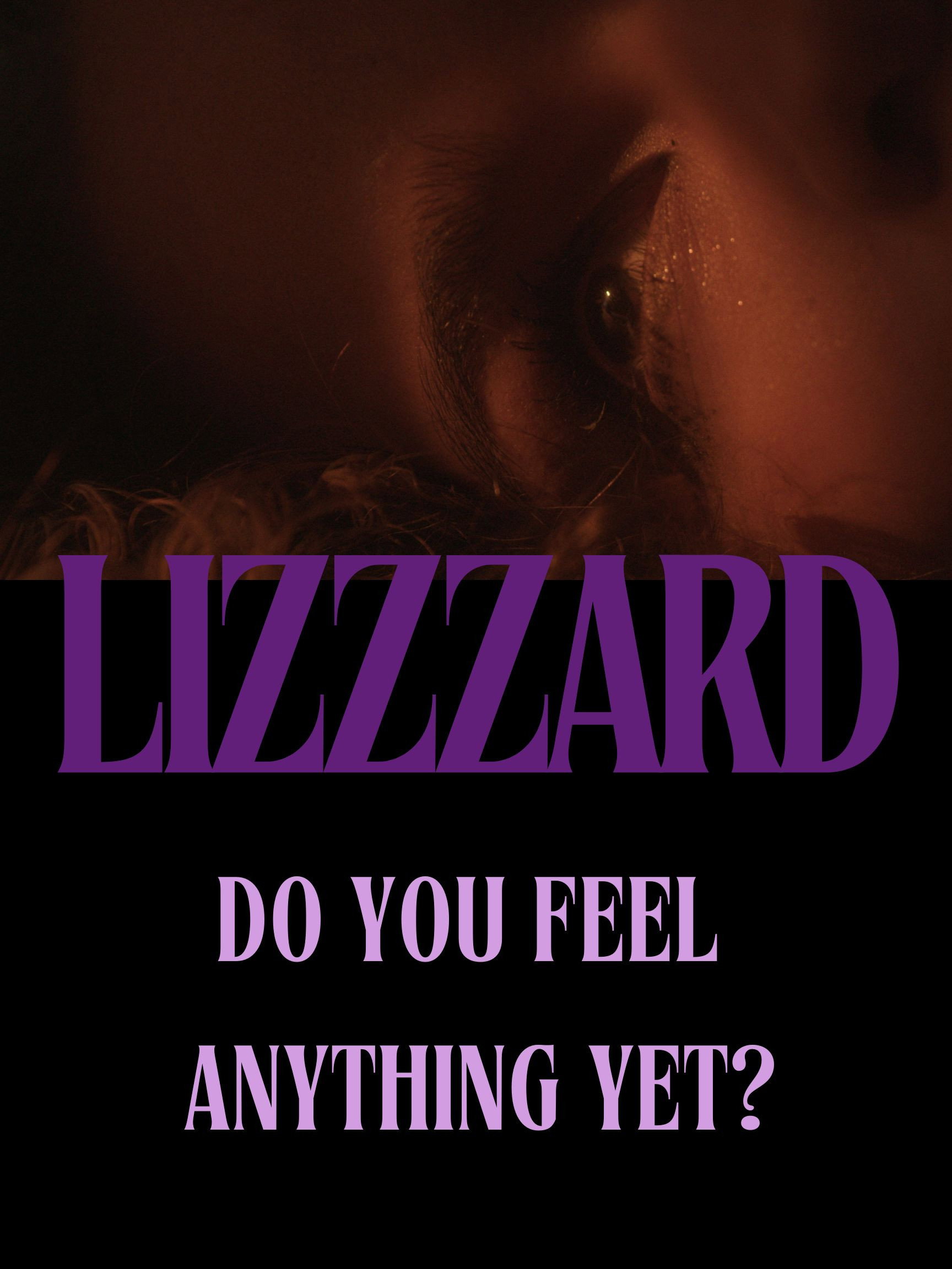 Lizzzard poster