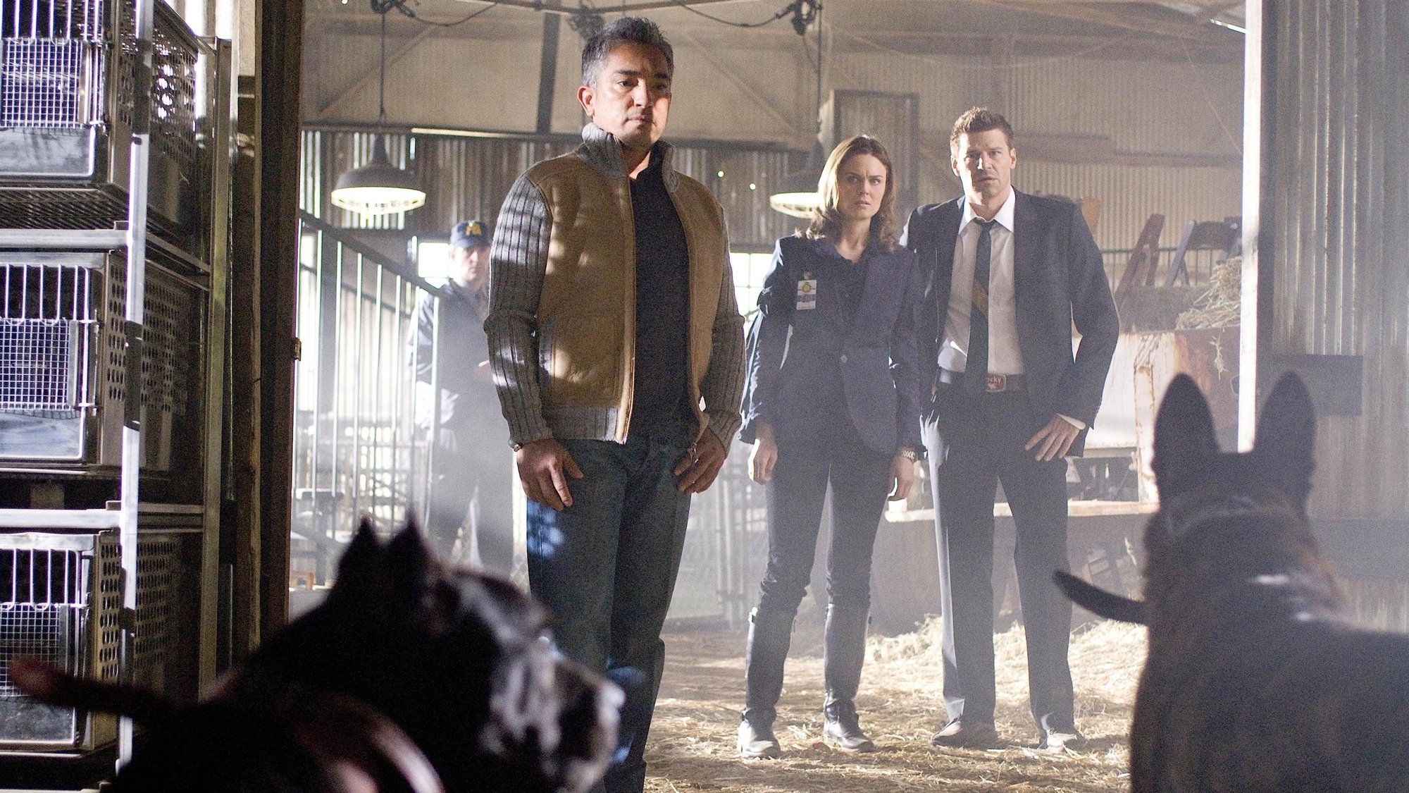 The Finger in the Nest