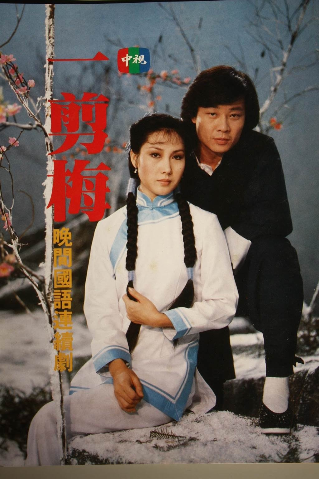 Poster de A Spray of Plum Blossoms