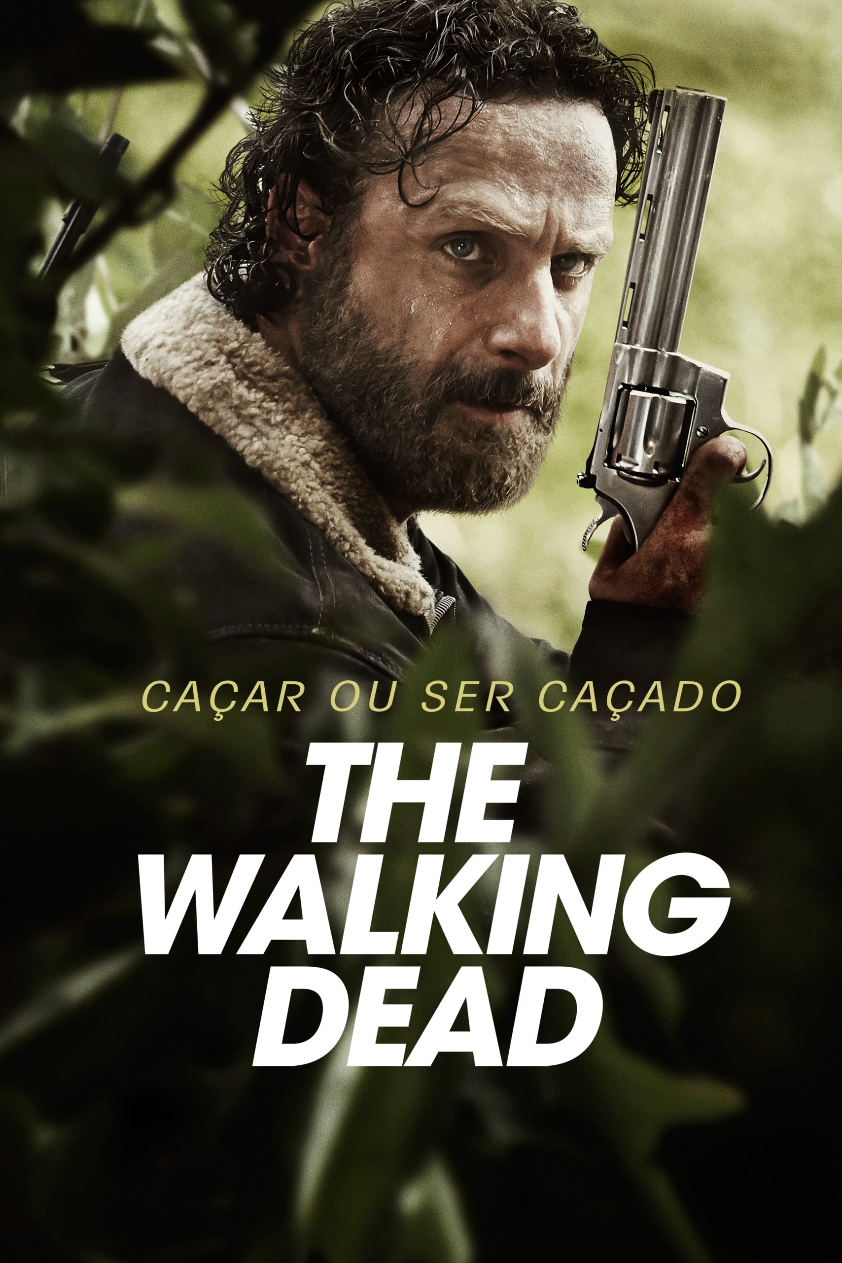 Poster de Temporada 5