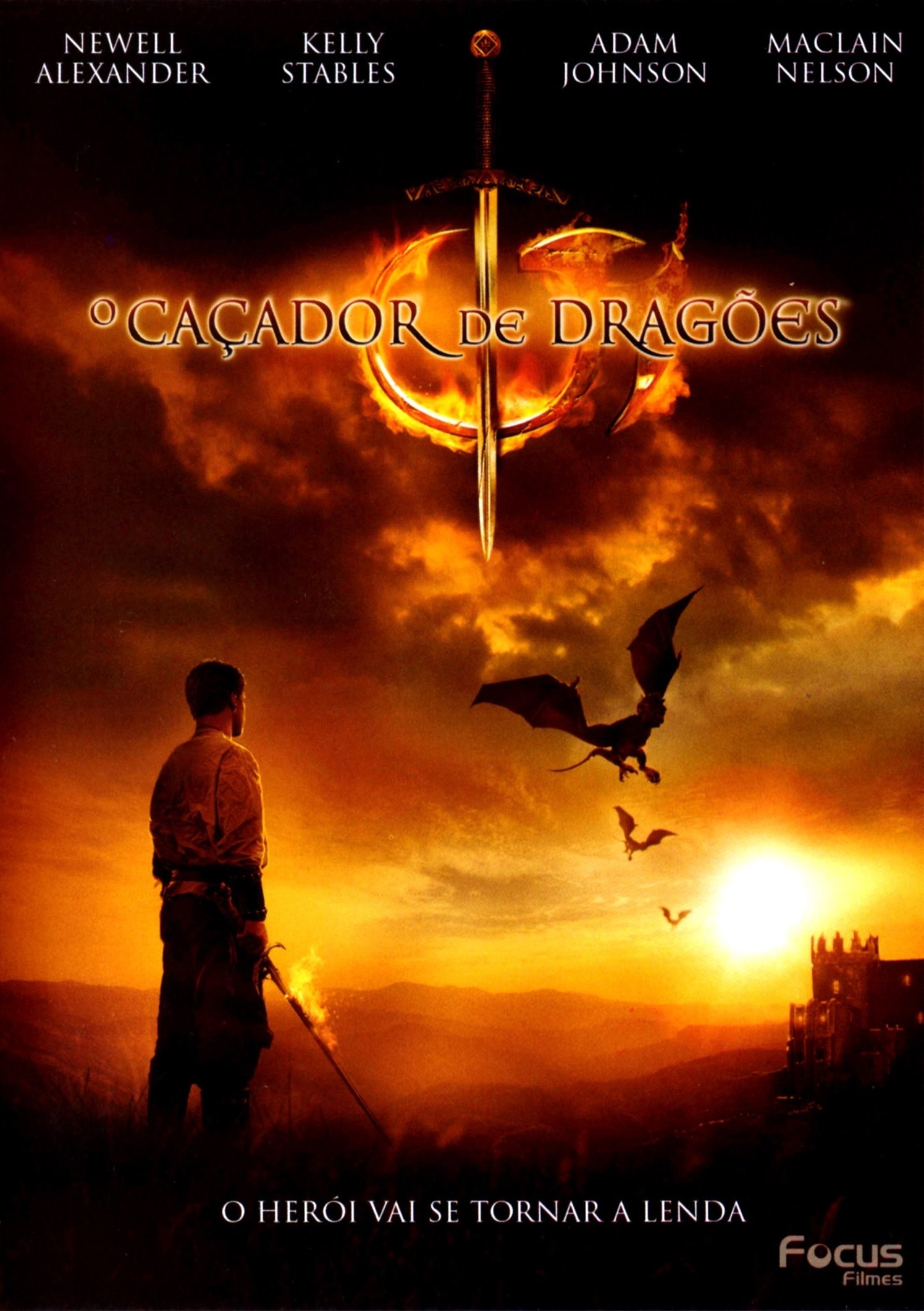 Poster de O Caçador de Dragões