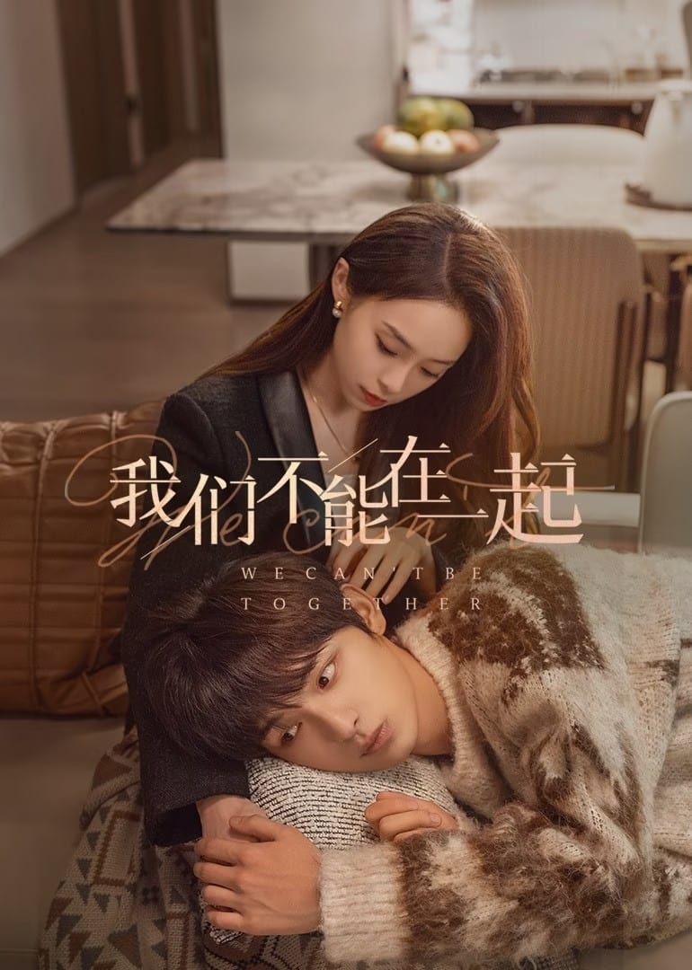 Poster de 我们不能在一起