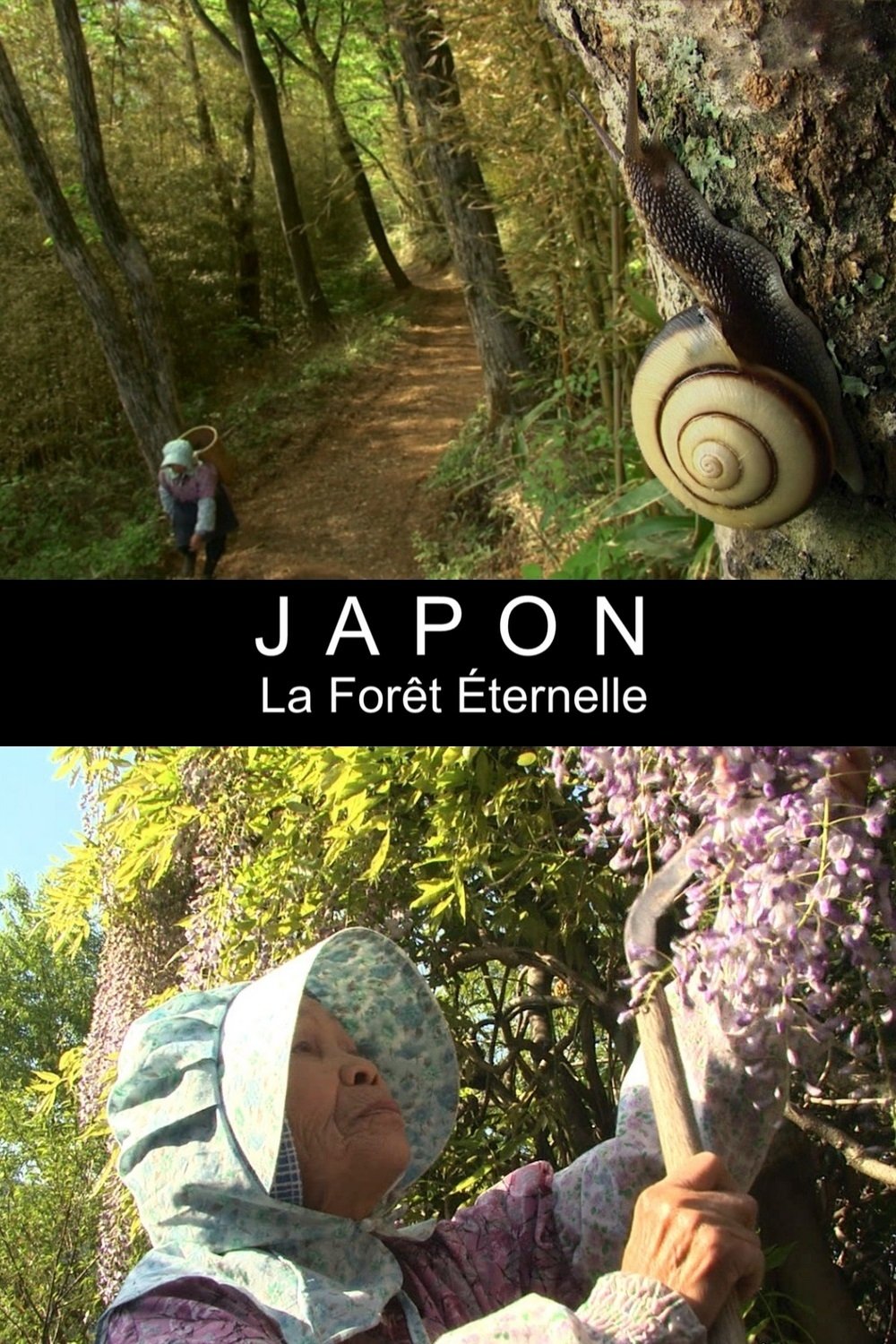 Poster de Grandma's Eternal Forest