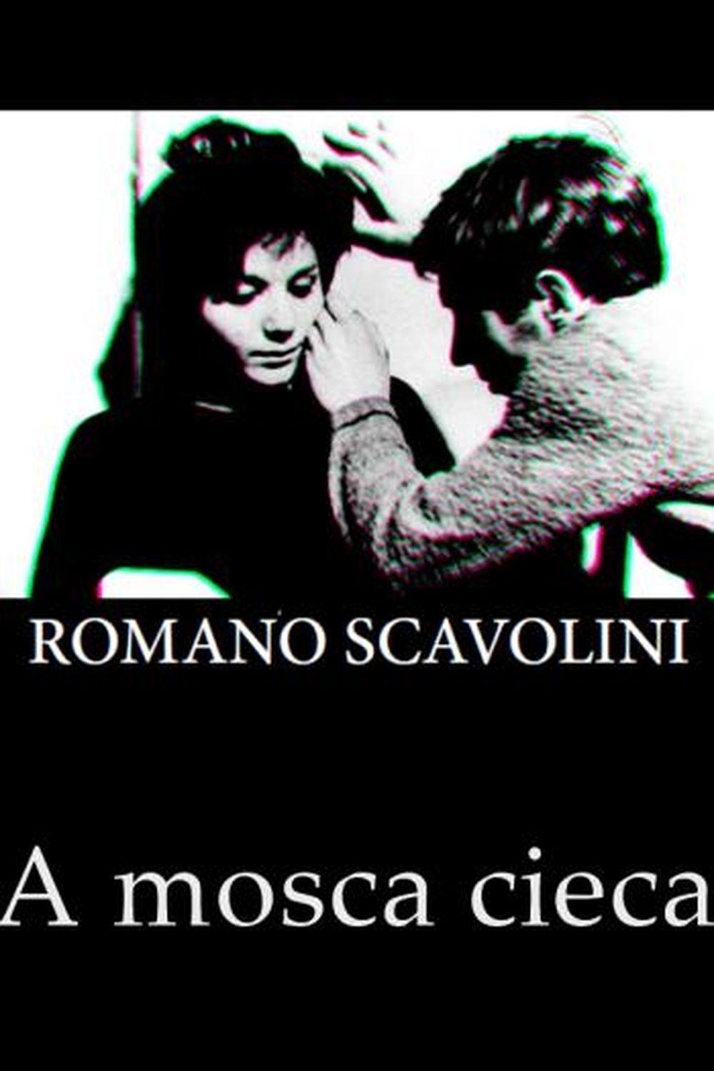 Poster de A mosca cieca