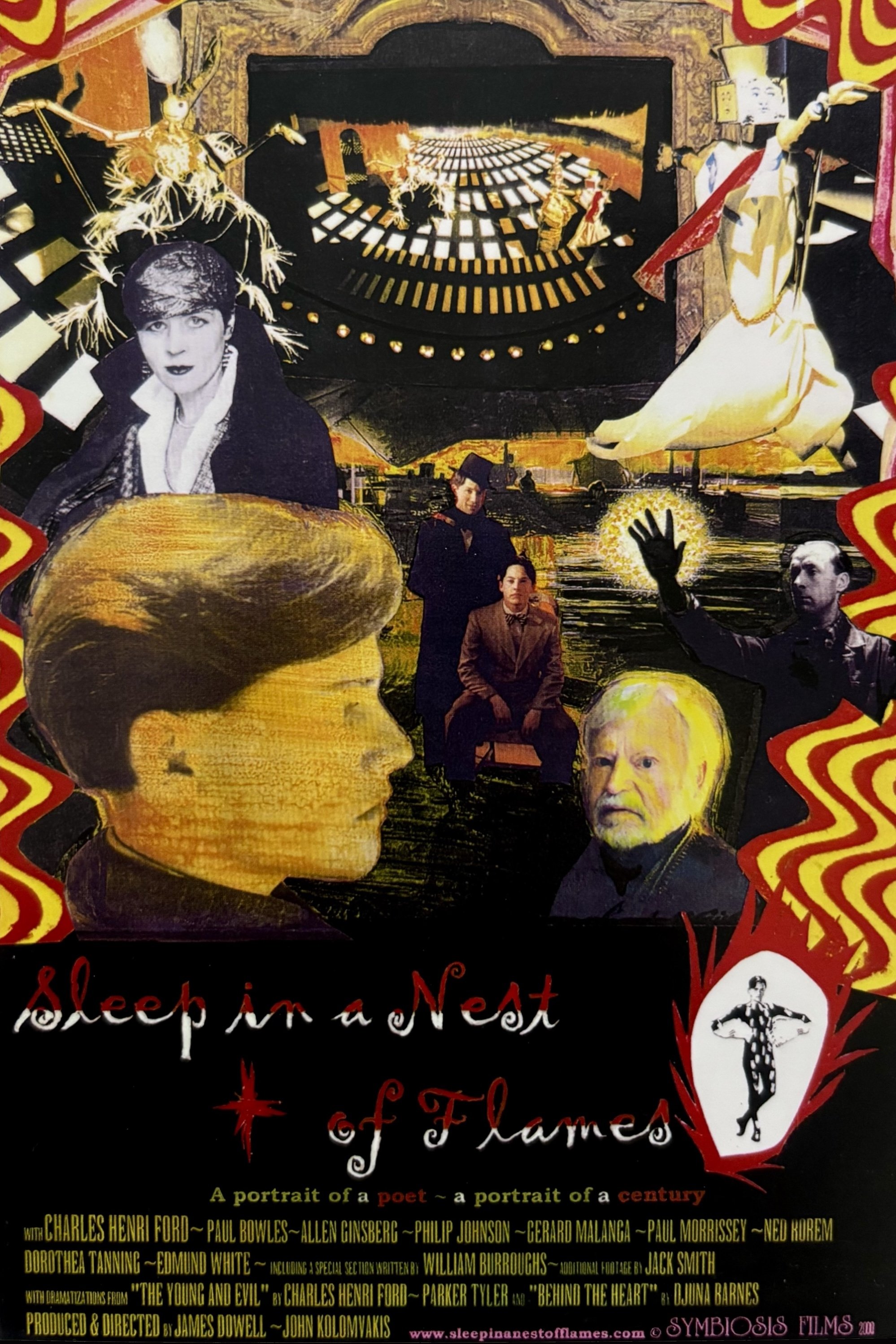 Poster de Sleep in a Nest of Flames