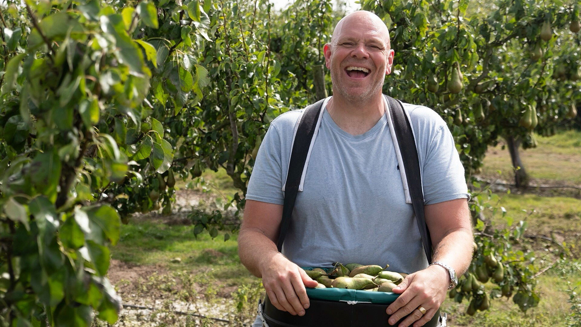 Kent and Cambridgeshire - Apples and Beetroot
