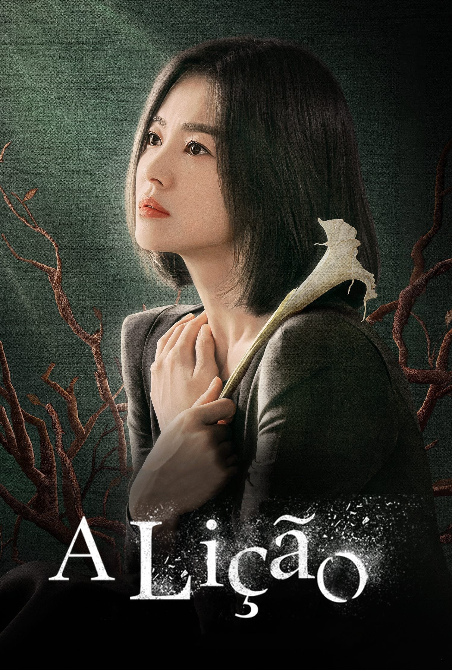 Poster de A Lição