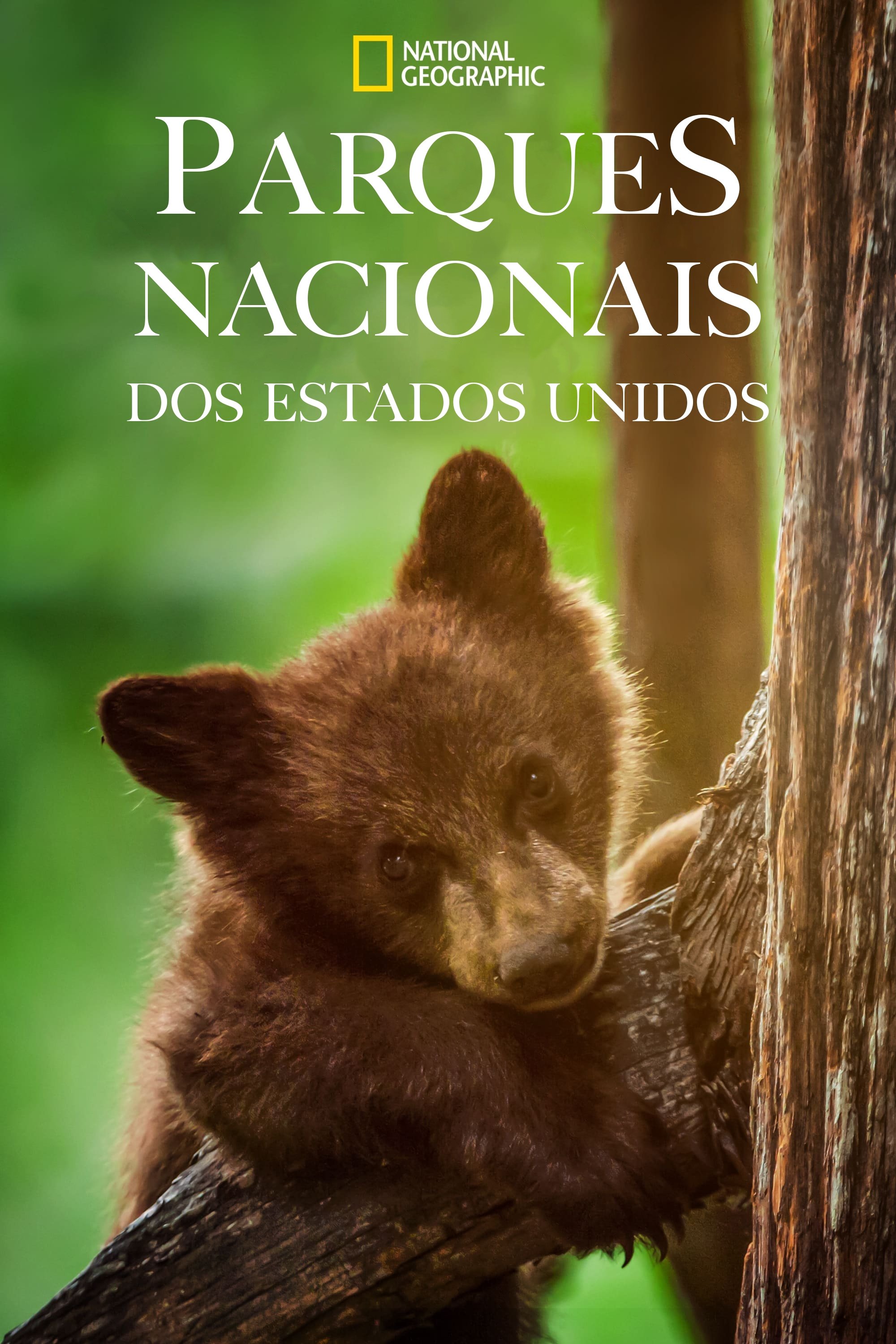 Poster de Parques Nacionais dos Estados Unidos