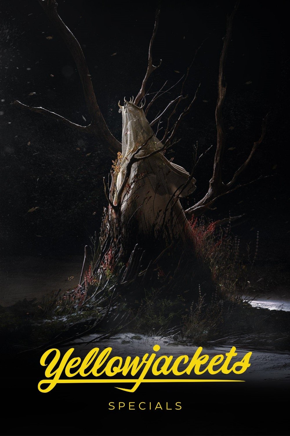 Poster de Especiais