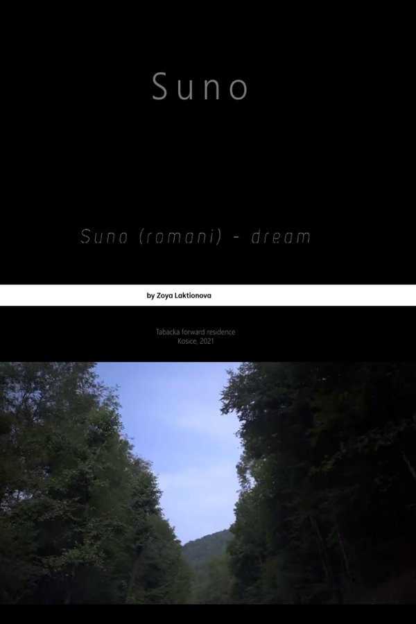 Poster de Suno