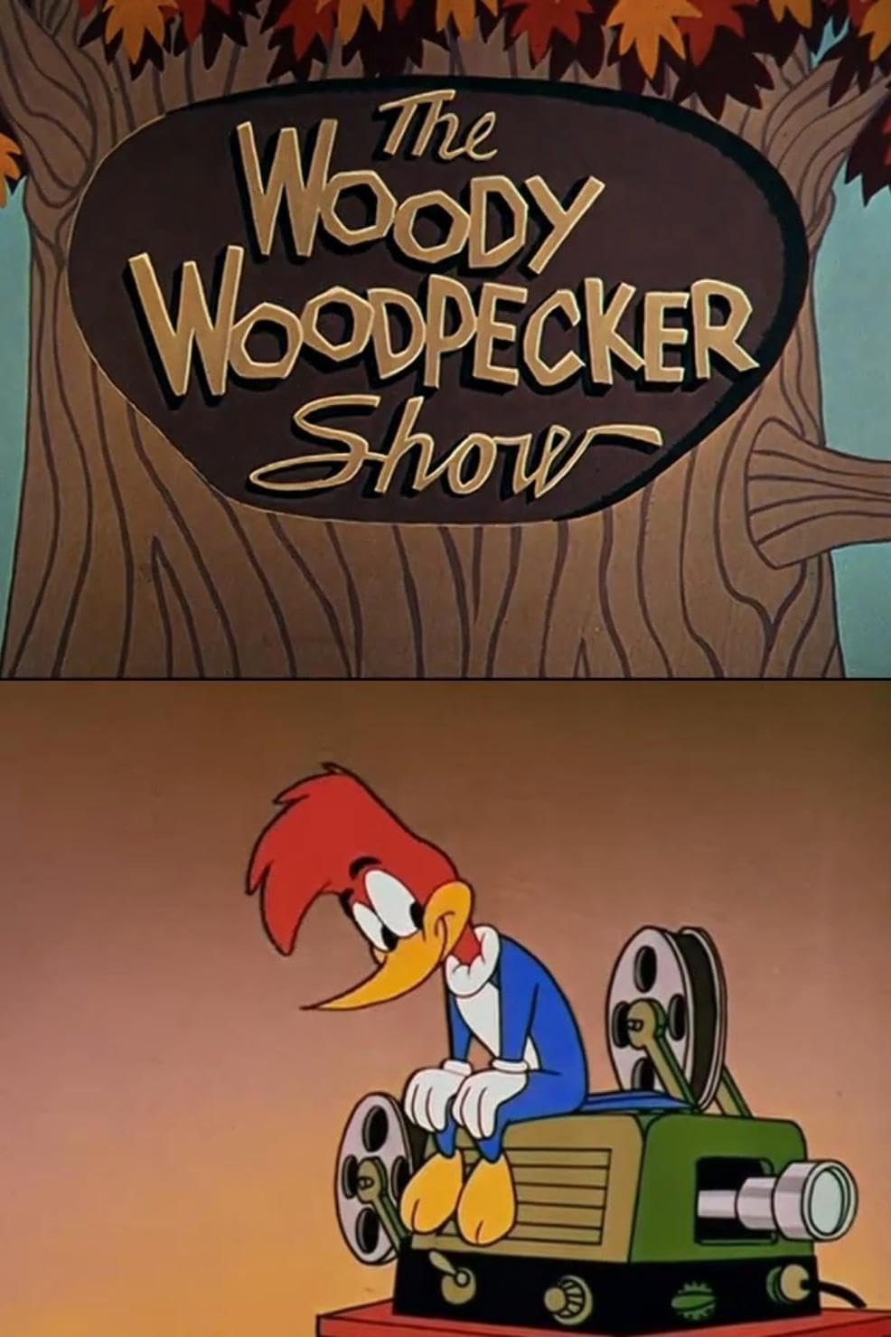 Poster de The Woody Woodpecker Show