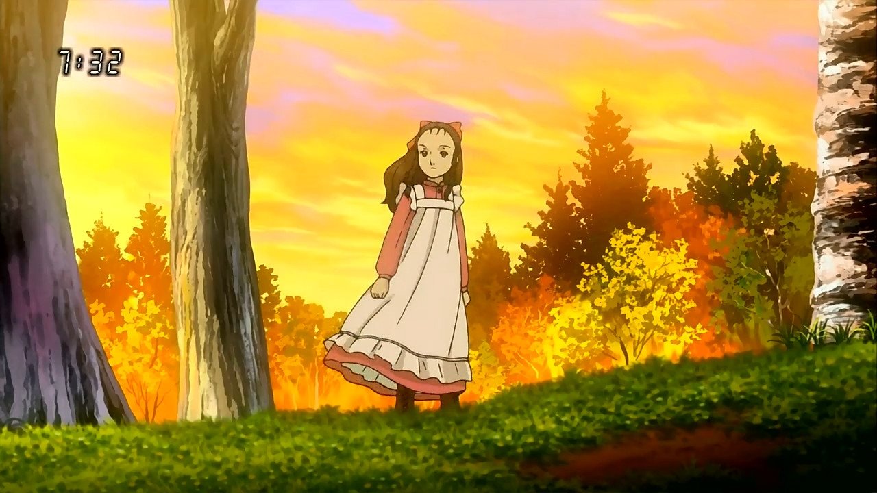 Favourite Forest