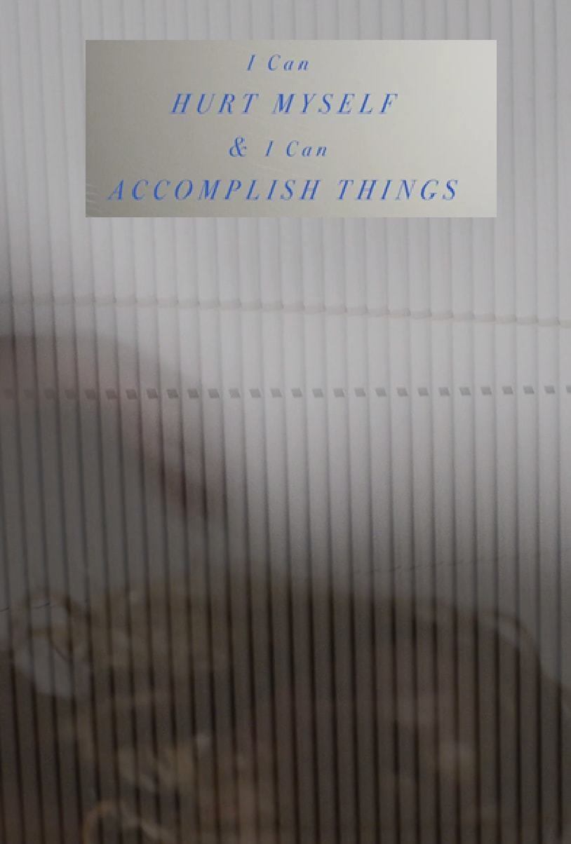Poster de I Can Hurt Myself & I Can Accomplish Things