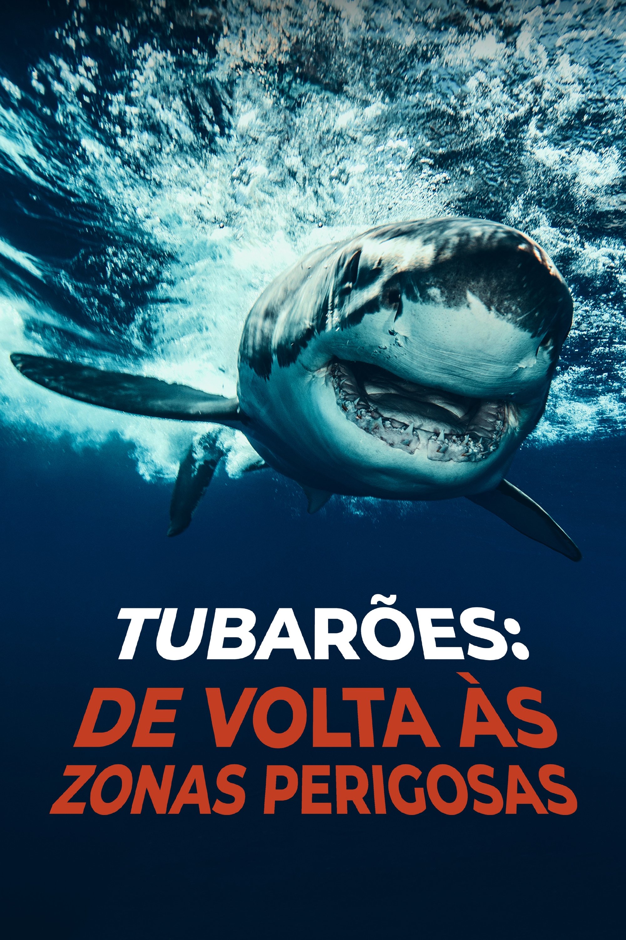 Poster de Tubarões: De Volta às Zonas Perigosas