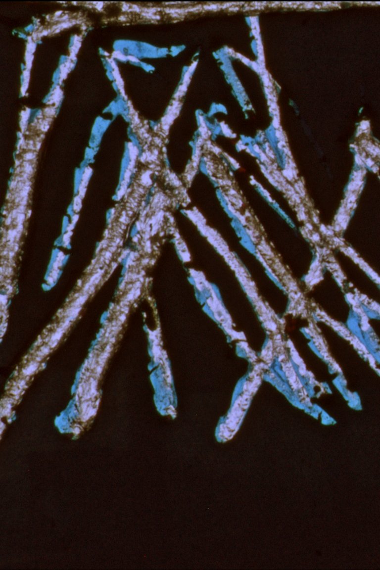 Nó Nu Poster