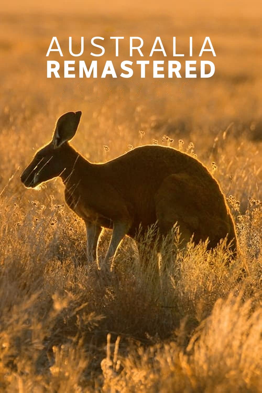 Poster de Australia Remastered