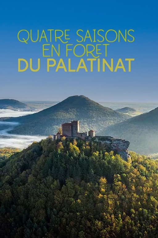 Poster de Der Pfälzerwald rund ums Jahr