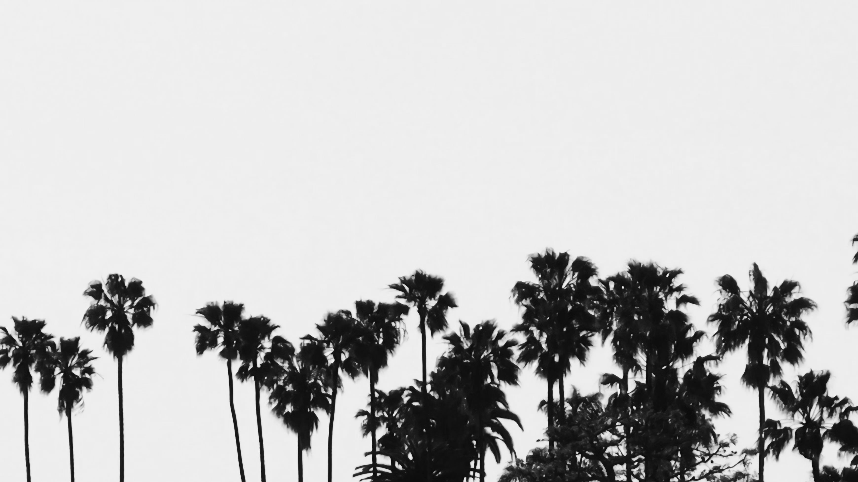 Angeles