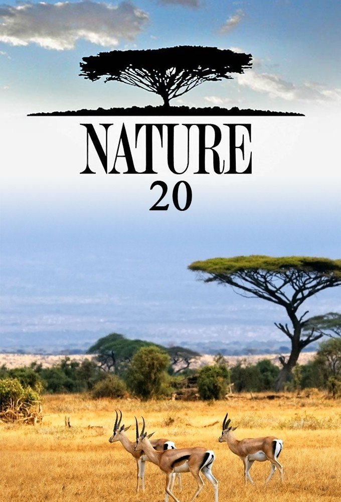 Poster de Temporada 20