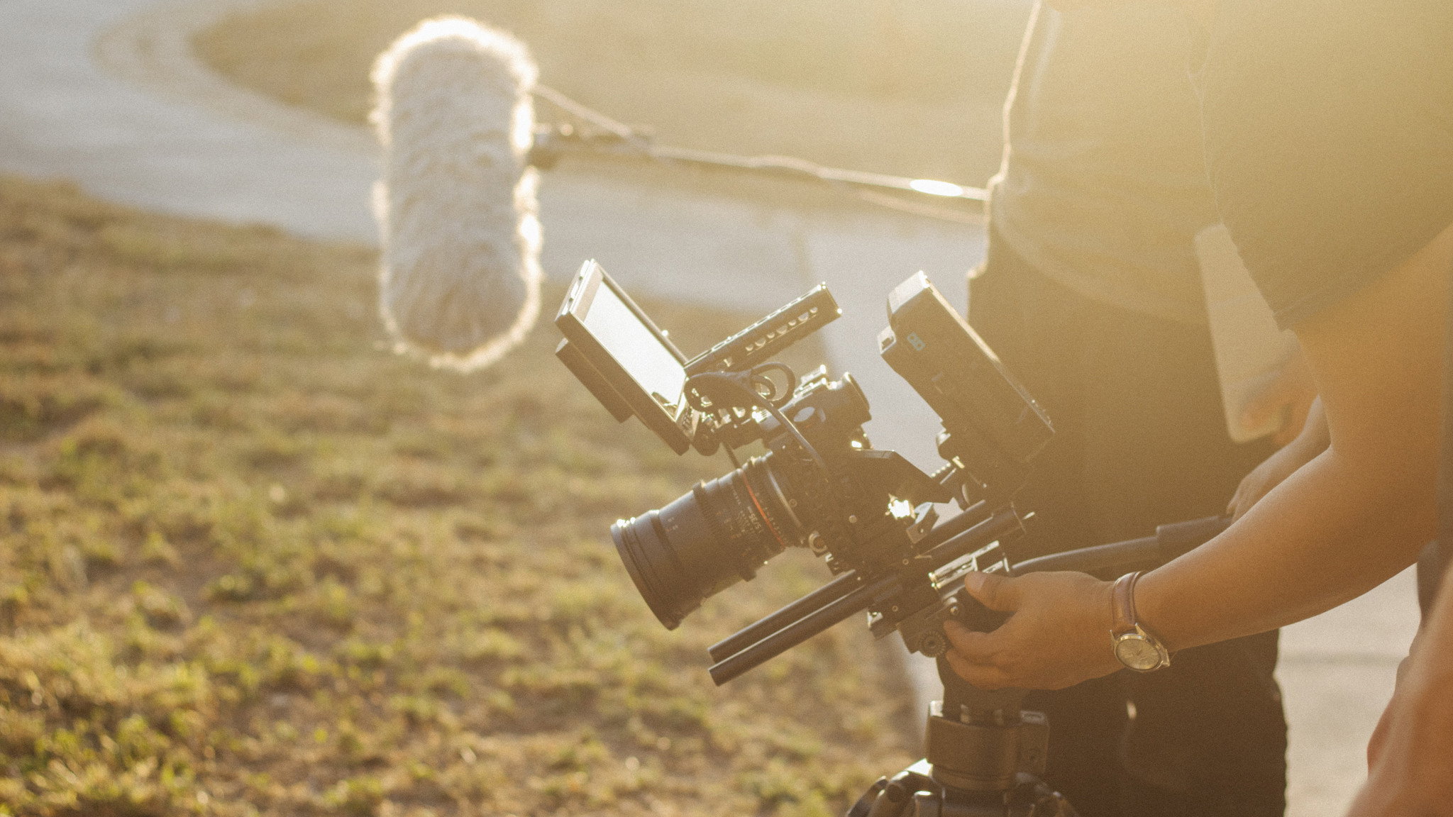 Director
