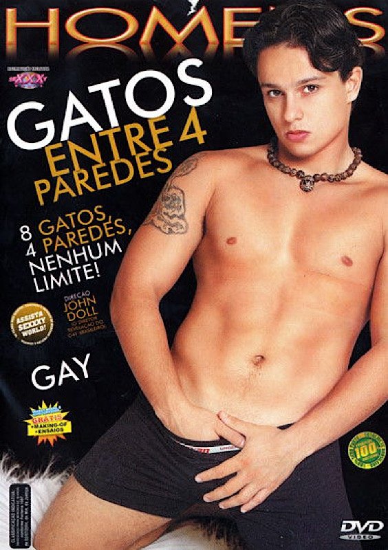 Poster de Gatos entre 4 paredes