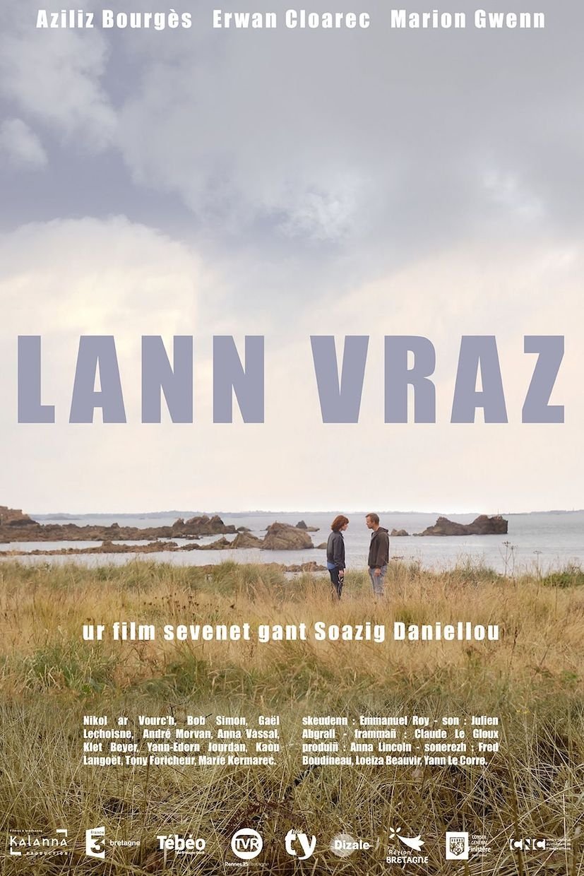 Poster de Lann vraz