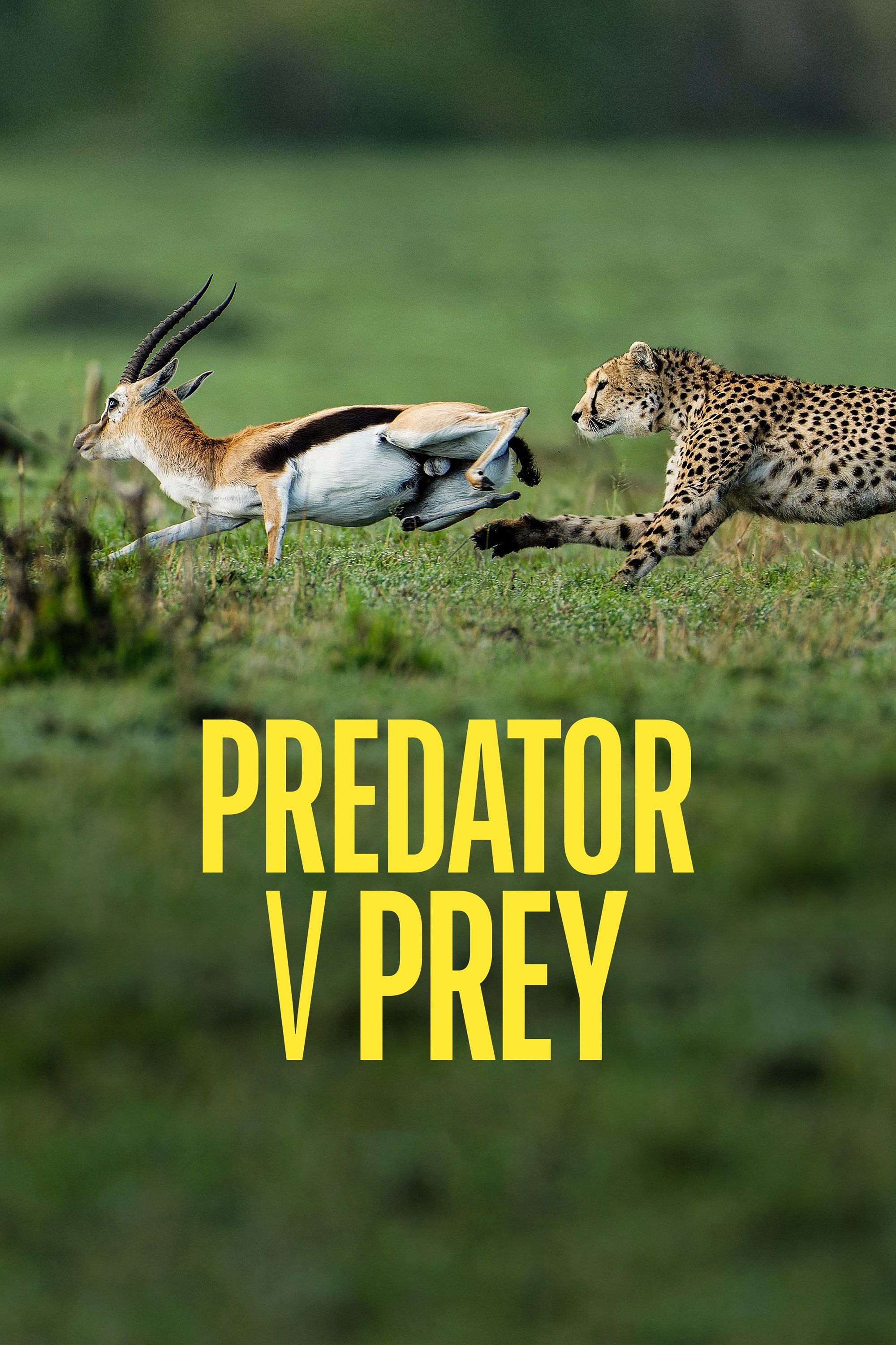 Poster de Predator v Prey