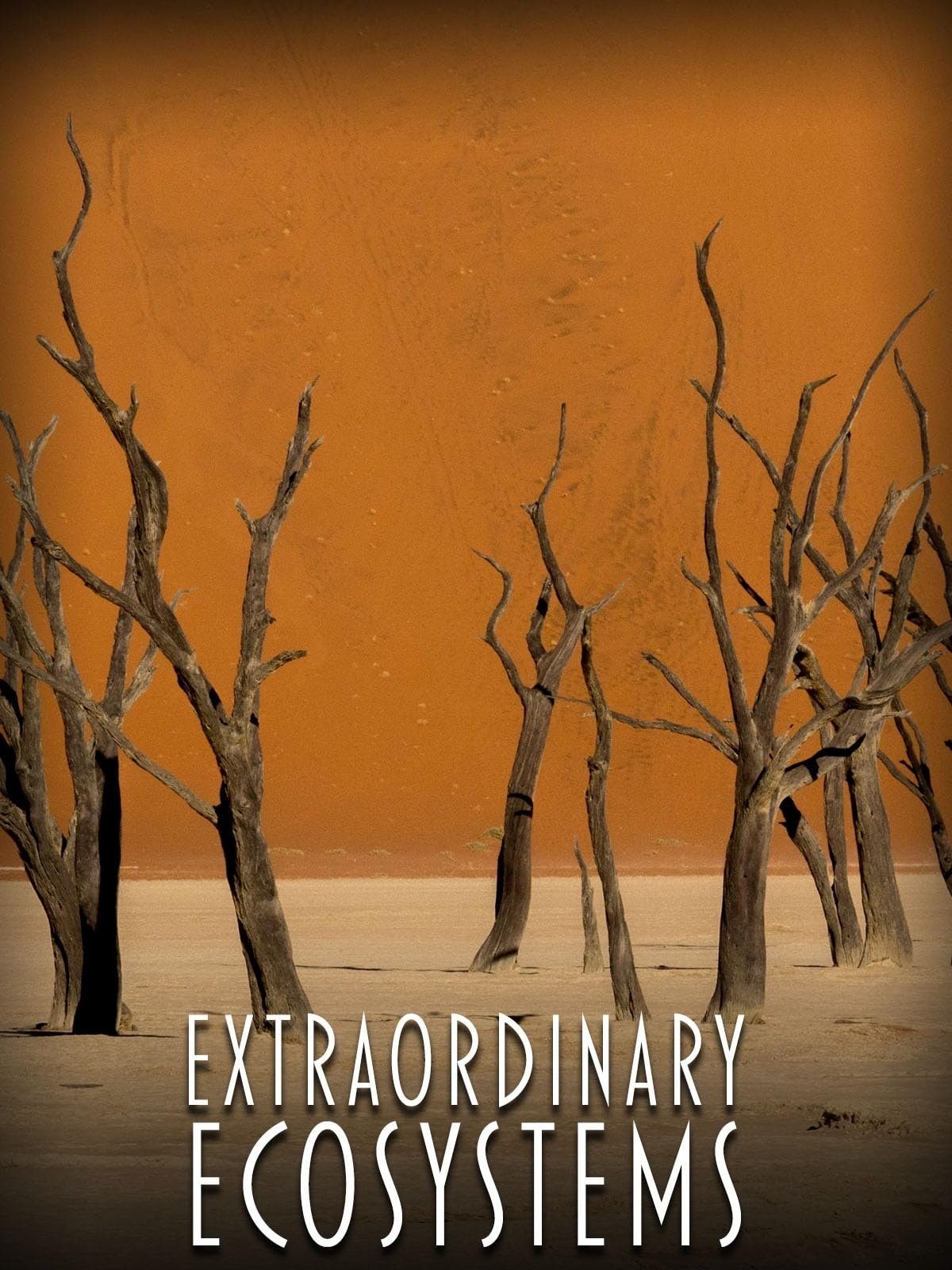 Poster de Extraordinary Ecosystems